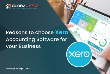 Why Choose Xero Accounting Software for Your Business